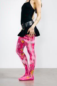 Image 2 of Orchid ✤