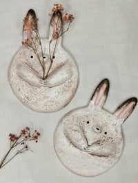 Pallero pupu savityö