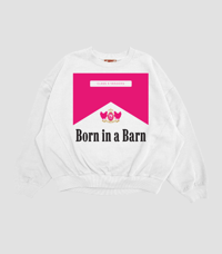 Image 4 of The Pink and Cream Barnboro Sweater