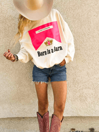 Image 2 of The Pink and Cream Barnboro Sweater