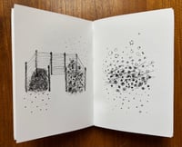 Image 1 of Fieldwork