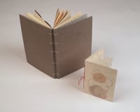 Image 2 of A Winter Garden