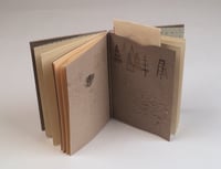 Image 1 of A Winter Garden