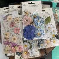 Blue and purple Flowers