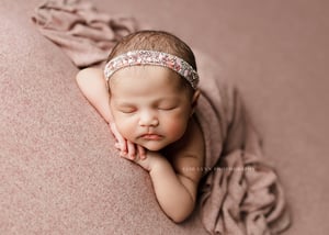 Image of Briar Muted Pink