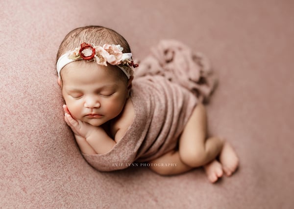 Image of Briar Muted Pink