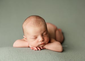 Image of Cozy / artichoke