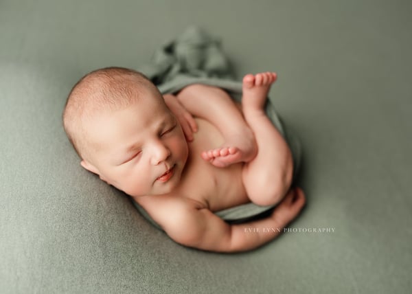 Image of Cozy / artichoke 