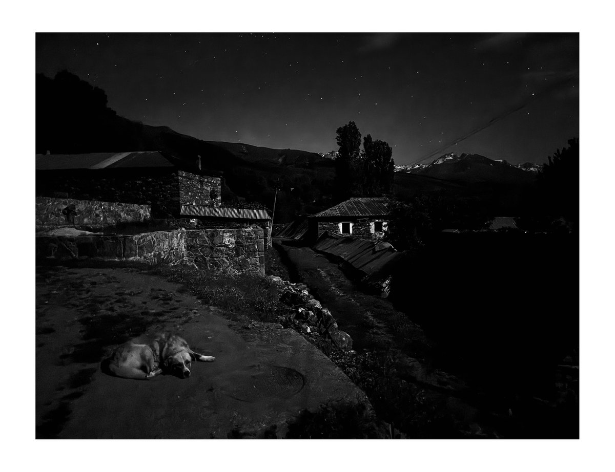 PRINT - When The Flowers Come (02)