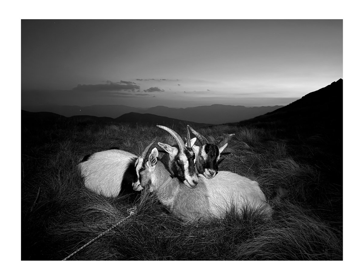 PRINT - When The Flowers Come (04)