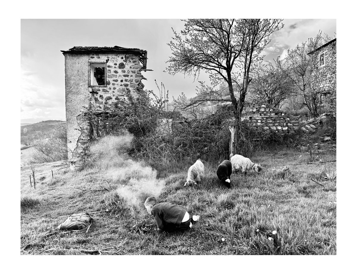 PRINT - When The Flowers Come (06)