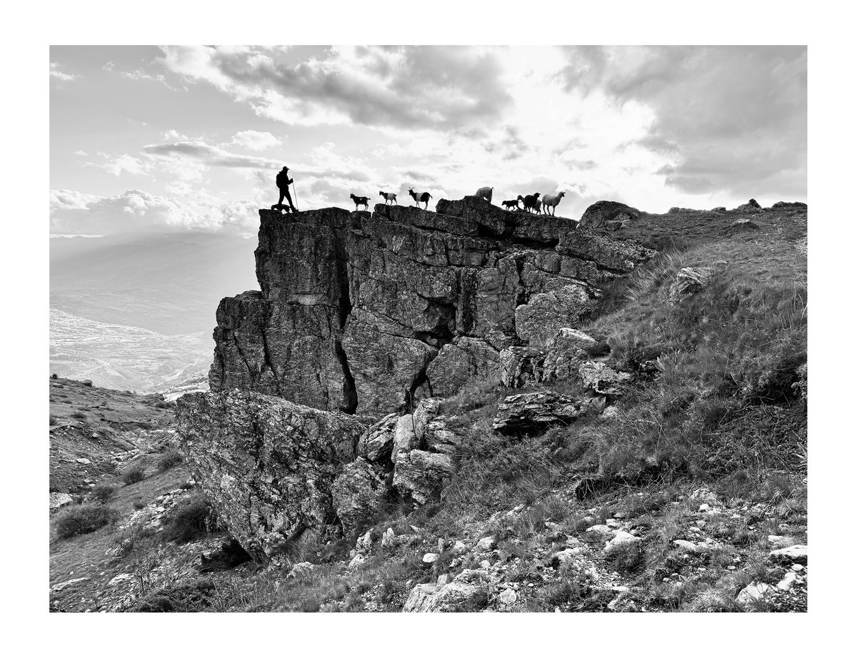 PRINT - When The Flowers Come (09)