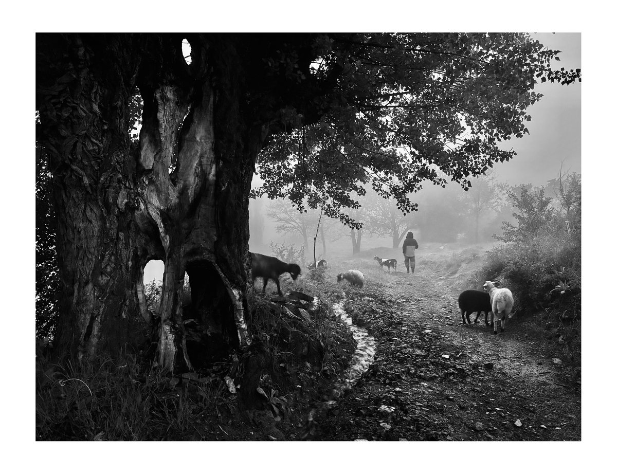 PRINT - When The Flowers Come (10)