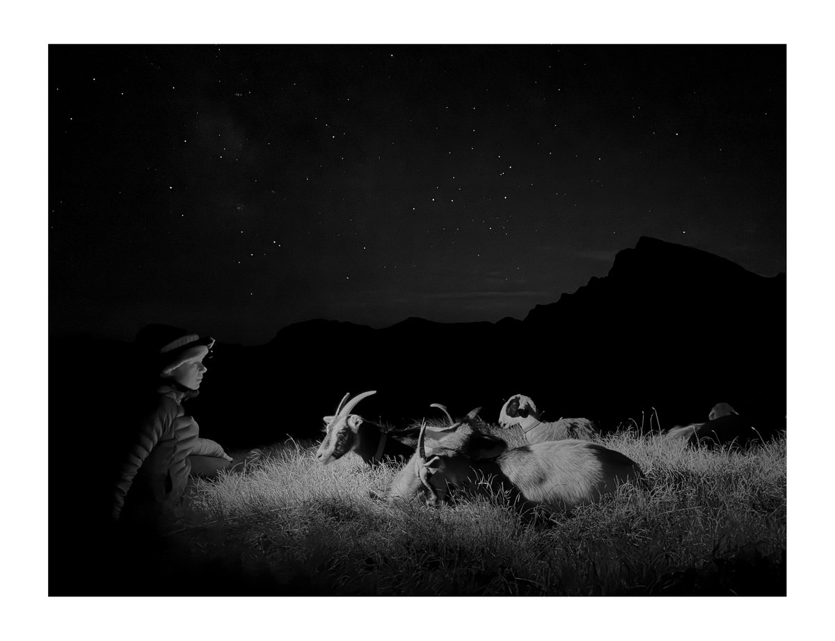 PRINT - When The Flowers Come (12)