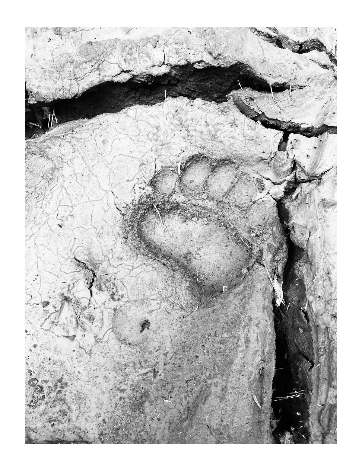 PRINT - When The Flowers Come (13)