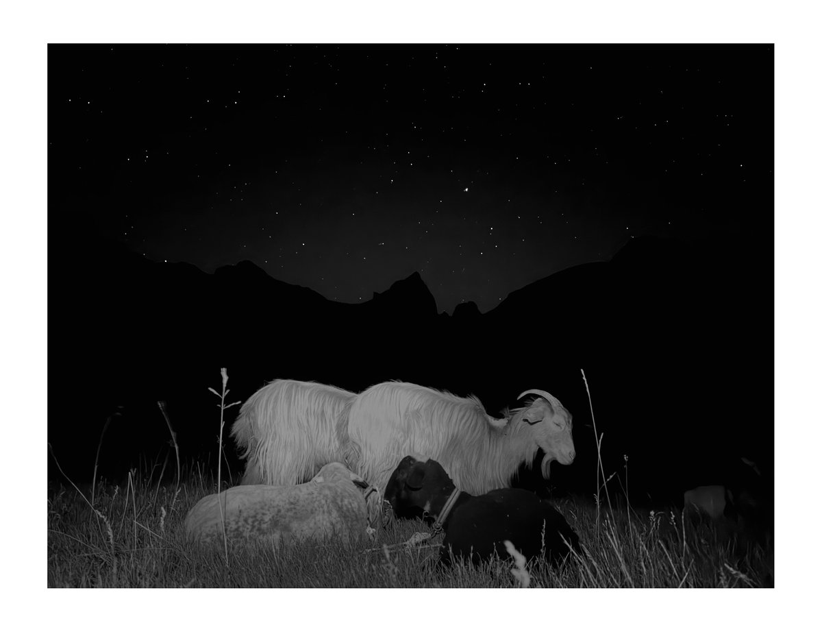 PRINT - When The Flowers Come (14)