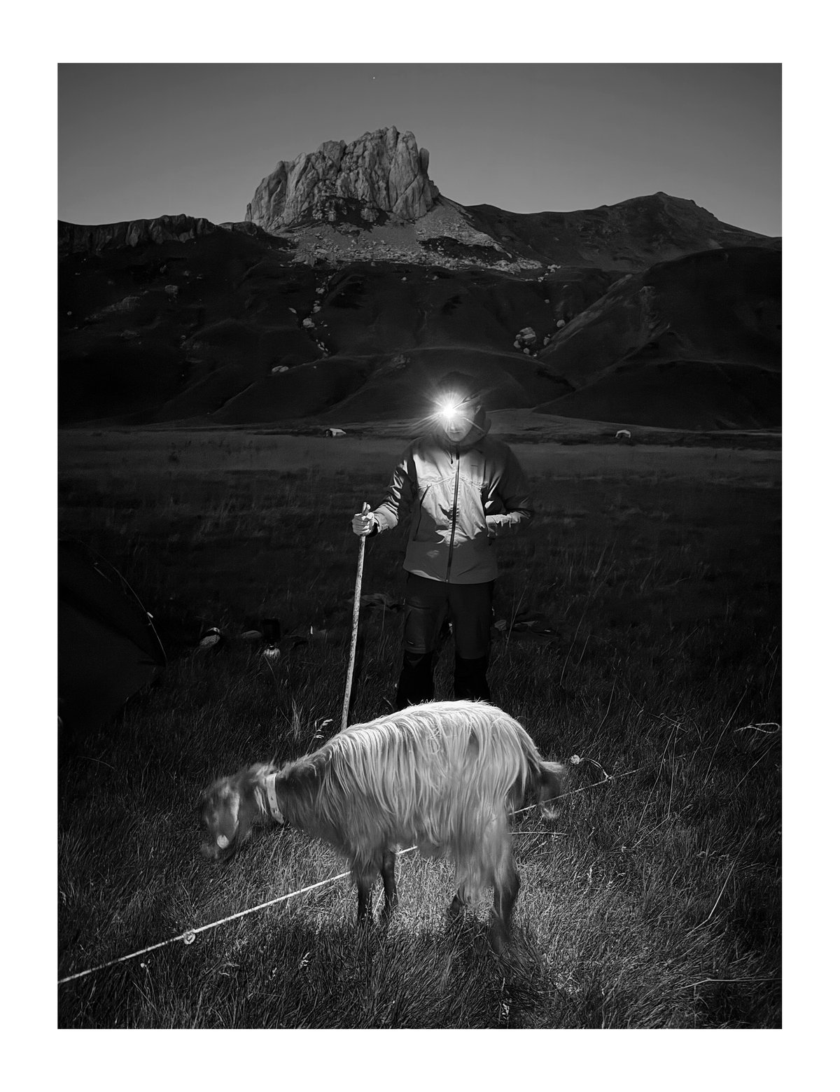 PRINT - When The Flowers Come (15)