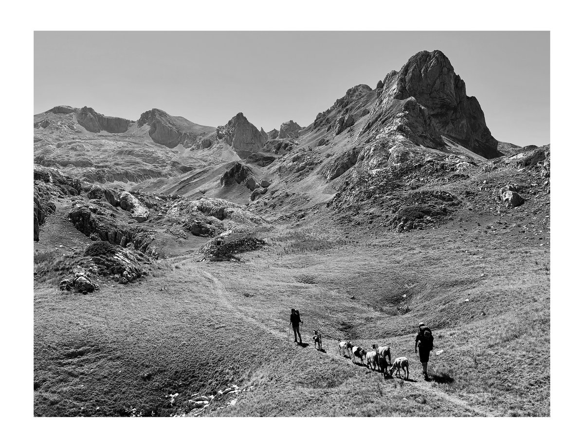 PRINT - When The Flowers Come (16)