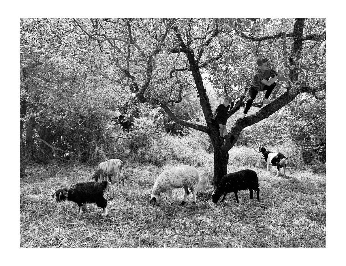 PRINT - When The Flowers Come (17)