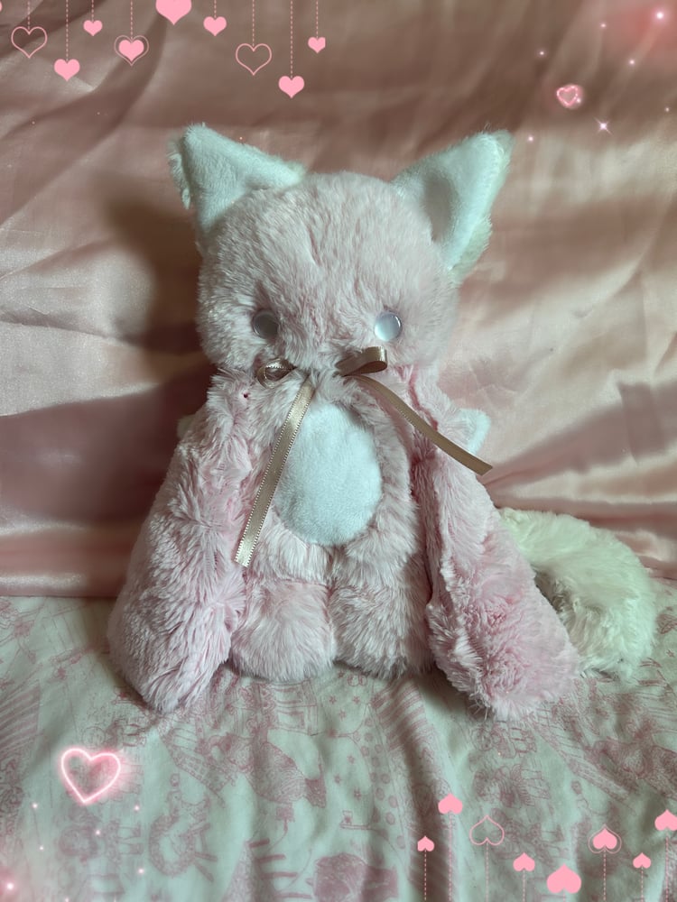 Image of maya the cupid kitty 