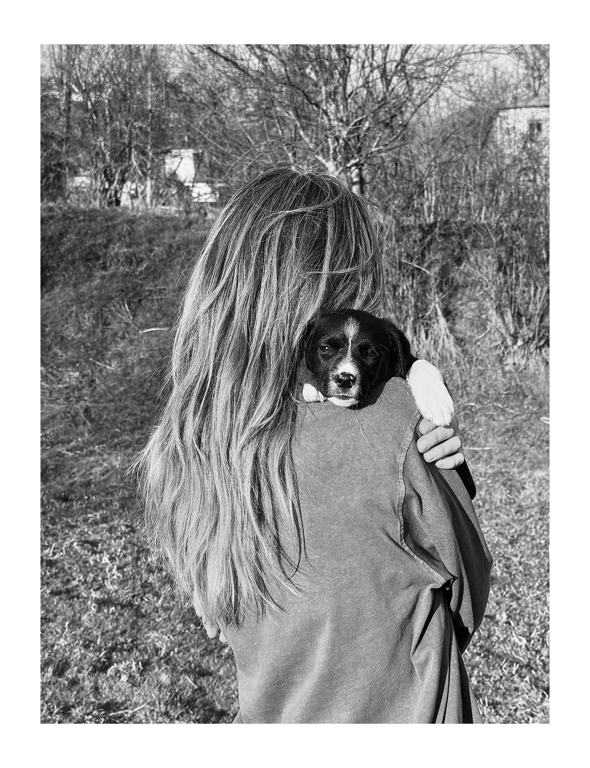 PRINT - When The Flowers Come (20)