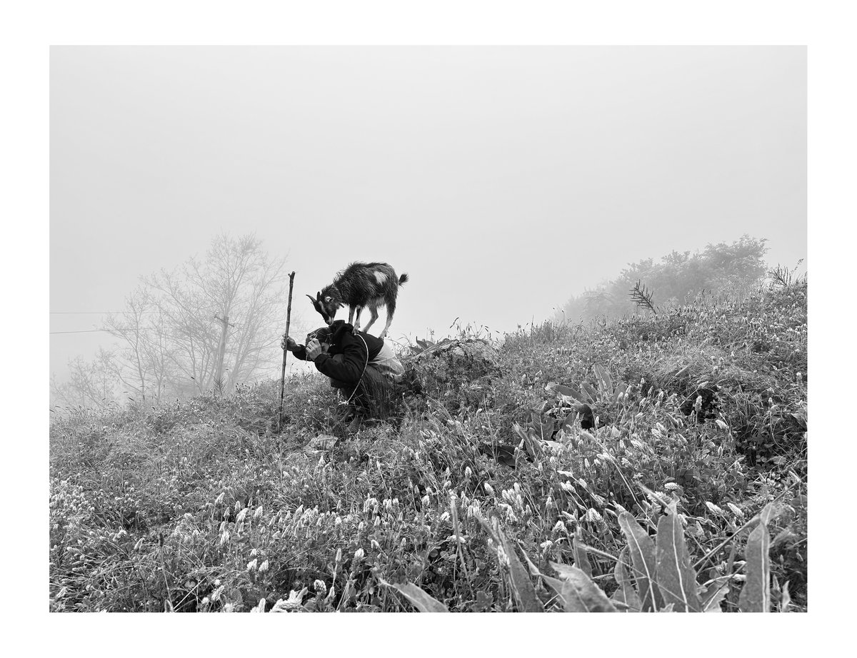 PRINT - When The Flowers Come (25)