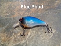 Image 3 of Square Bill