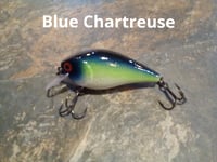 Image 4 of Square Bill