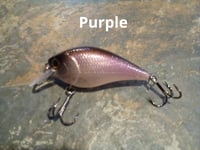 Image 7 of Square Bill