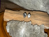 White Buffalo triangle stud earrings 