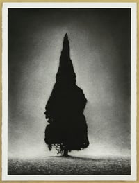Image 4 of March: WORKSHOP-CHARCOAL DRAWING 