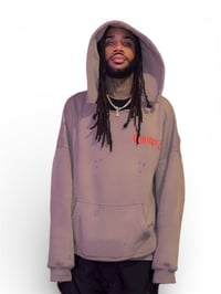 Image 2 of DAWG IN ME DISTRESSED HOODIE