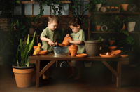 Image 1 of March 21st Spend your morning with our baby ducks! 