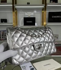 Image 5 of ICY SILVER PURSE