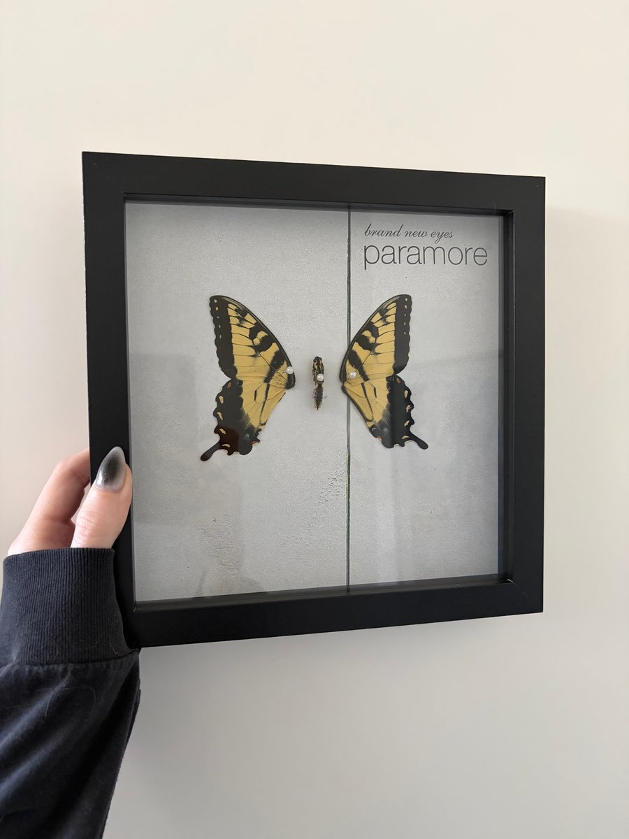 Image of Paramore Brand New Eyes 