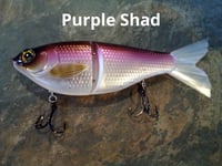 Image 1 of Glide Bait