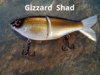 Image 3 of Glide Bait