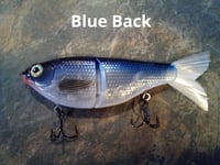 Image 4 of Glide Bait