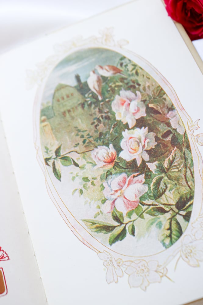 Image of Stunning Antique Victorian Auld Lang Syne Poem Book by Robert Burns 