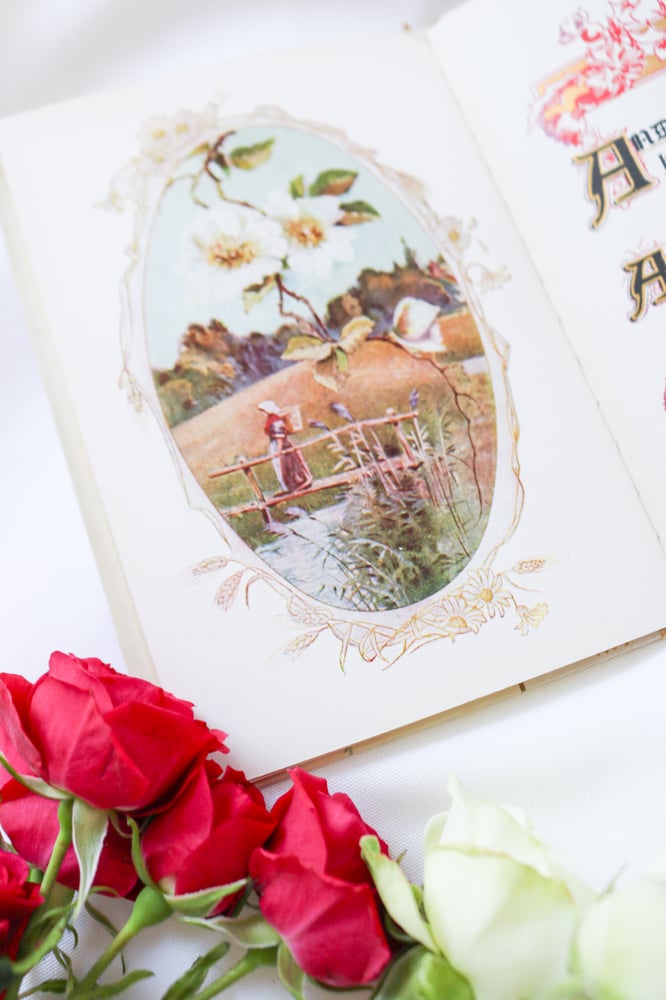 Image of Stunning Antique Victorian Auld Lang Syne Poem Book by Robert Burns 