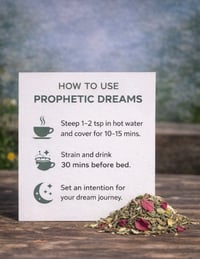 Image 2 of Prophetic Dreams