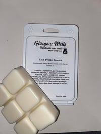 Image 3 of Scottish Collection Wax Melts  