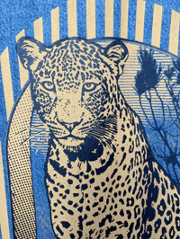 Image 4 of BLOUSON JEAN / DENIM COTON/ LEOPARD