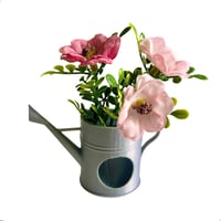 Image 2 of Frida’s Garden