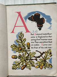 Image 6 of Nature's ABC by Eileen Mayo