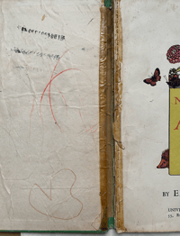 Image 3 of Nature's ABC by Eileen Mayo