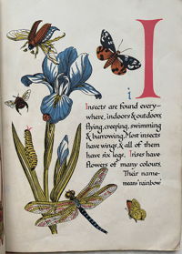 Image 8 of Nature's ABC by Eileen Mayo