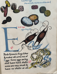 Image 5 of Nature's ABC by Eileen Mayo