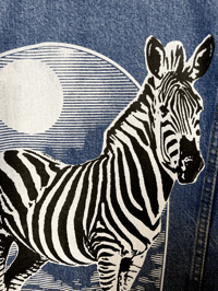Image 4 of BLOUSON JEAN / DENIM COTON/ ZEBRE