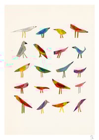 Image 2 of catalogue d'oiseaux giclée print